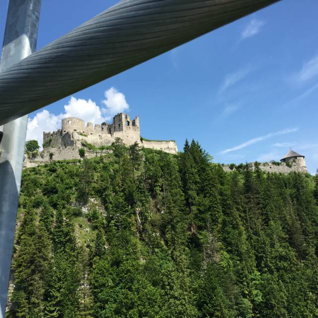 Ehrenberg castle ruins with panoramic forest view under a bright blue sky