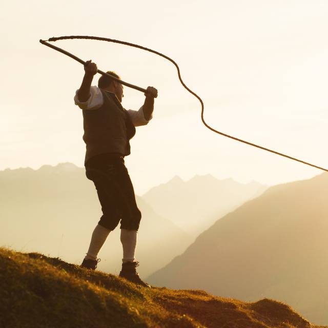 Mann schwingt eine Peitsche auf einer Almwiese im Sonnenuntergang