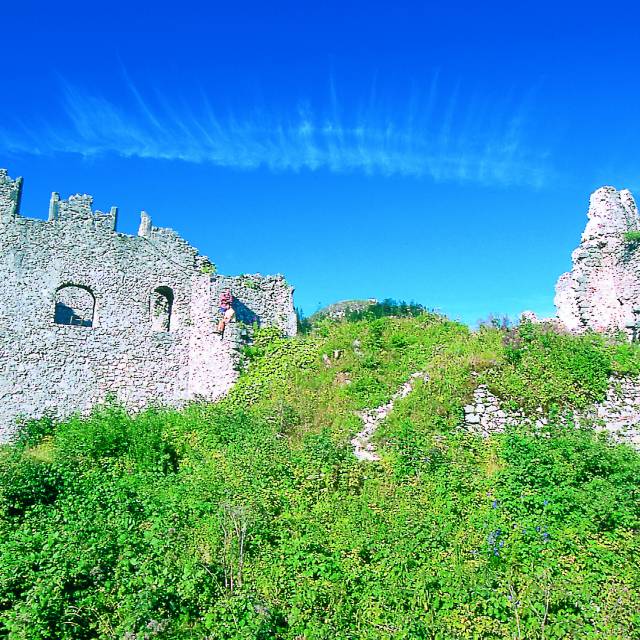 Well-preserved castle wall with rich greenery under a bright blue summer sky