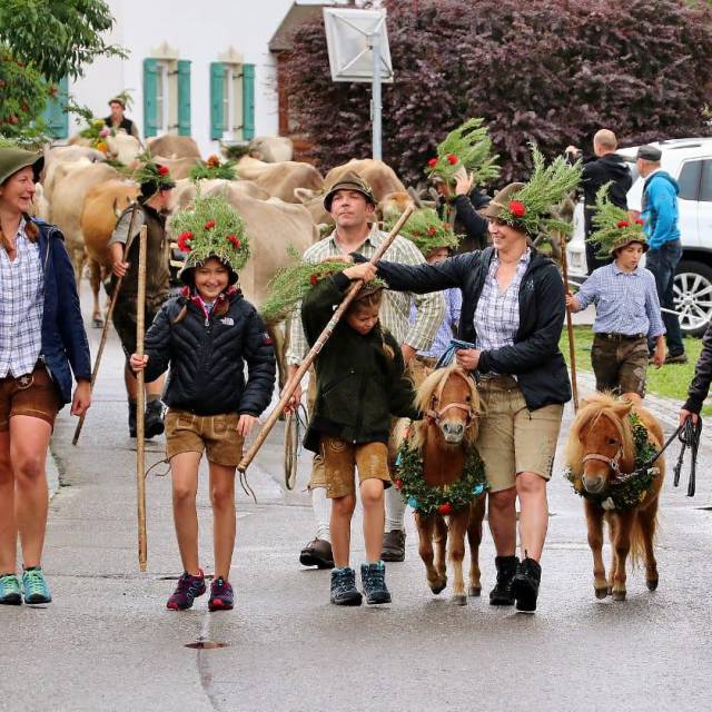 Almabtrieb mit geschmückten Ponys und Menschen in traditioneller Kleidung